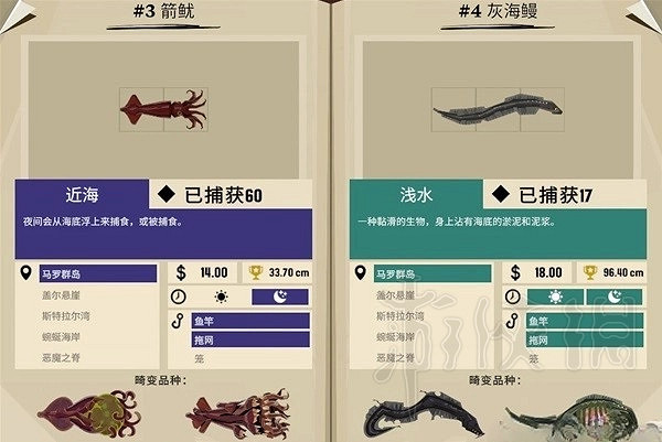 《漁帆暗湧》羅馬群島魚類圖鑒  有哪些圖鑒？