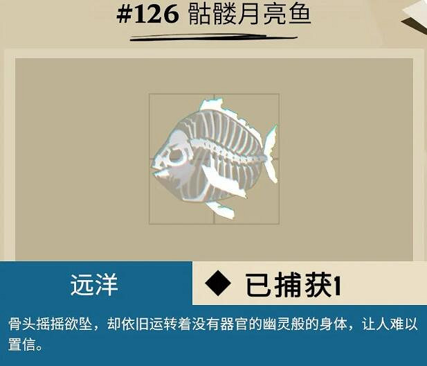 《漁帆暗湧》公海魚類圖鑒匯總 公海可捕魚獲有哪些？