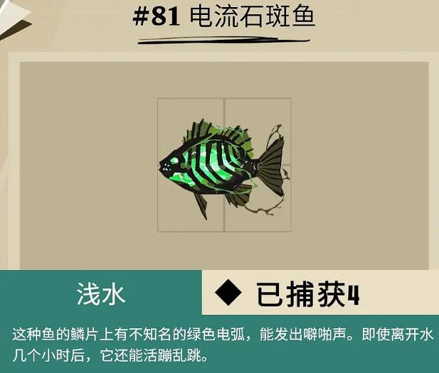 《漁帆暗湧》dredge馬羅群島魚獲圖鑒匯總 馬羅群島魚類有哪些？