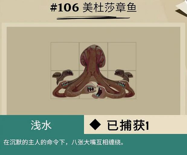 《漁帆暗湧》斯特拉爾灣魚類有哪些？斯特拉爾灣全魚種圖鑒