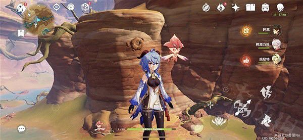 《原神》3.6版憂曇花位置在哪兒？六處憂曇花位置介紹