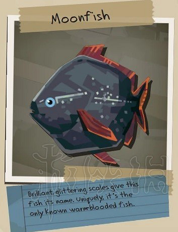 《漁帆暗湧》月亮魚介紹  月亮魚是什麽樣？