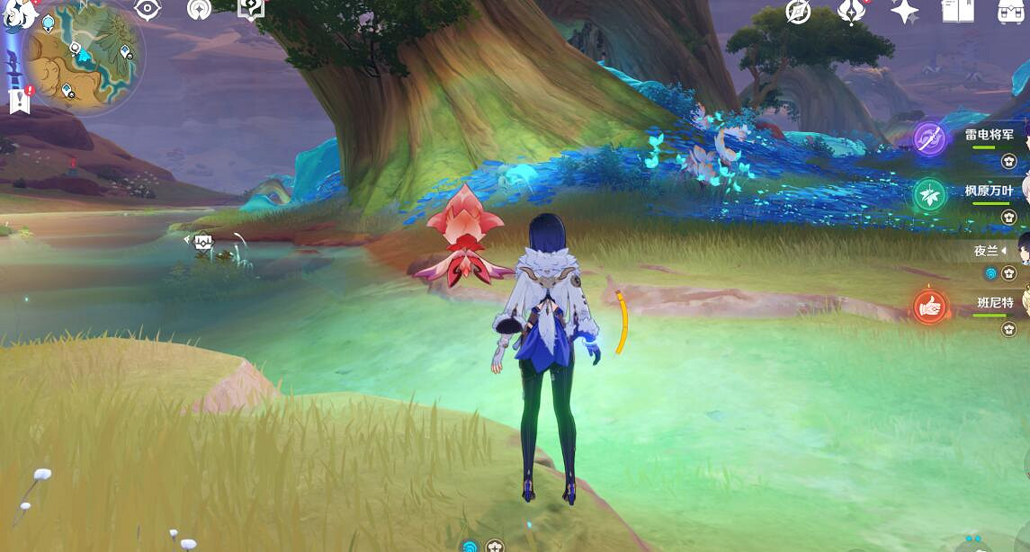 《原神》甘露花海寶箱收集攻略 甘露花海寶箱位置在哪？