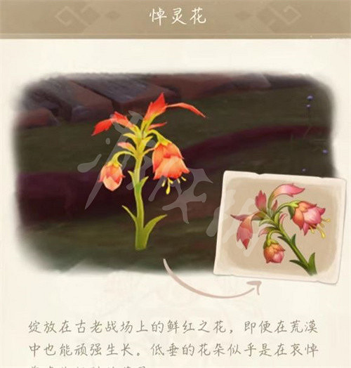 《原神》悼靈花刷新機制介紹 悼靈花多久刷新一次？