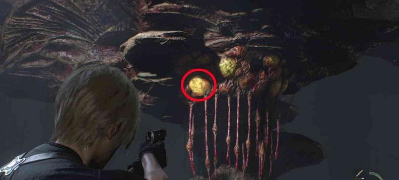 《惡靈古堡4重製版》蟲巢賞金任務怎麽過?蟲巢懸賞完成方法 《惡靈古堡4重製版》蟲巢賞金任務怎麽過?蟲巢懸賞完成方法