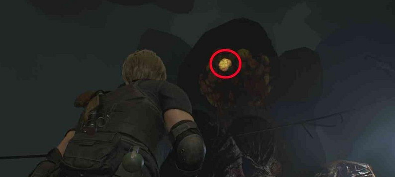 《惡靈古堡4重製版》蟲巢賞金任務怎麽過?蟲巢懸賞完成方法 《惡靈古堡4重製版》蟲巢賞金任務怎麽過?蟲巢懸賞完成方法