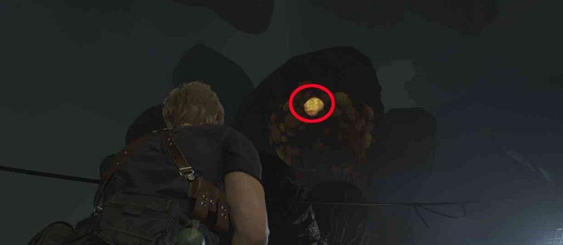 《惡靈古堡4重製版》蟲巢賞金任務怎麽過?蟲巢懸賞完成方法 《惡靈古堡4重製版》蟲巢賞金任務怎麽過?蟲巢懸賞完成方法