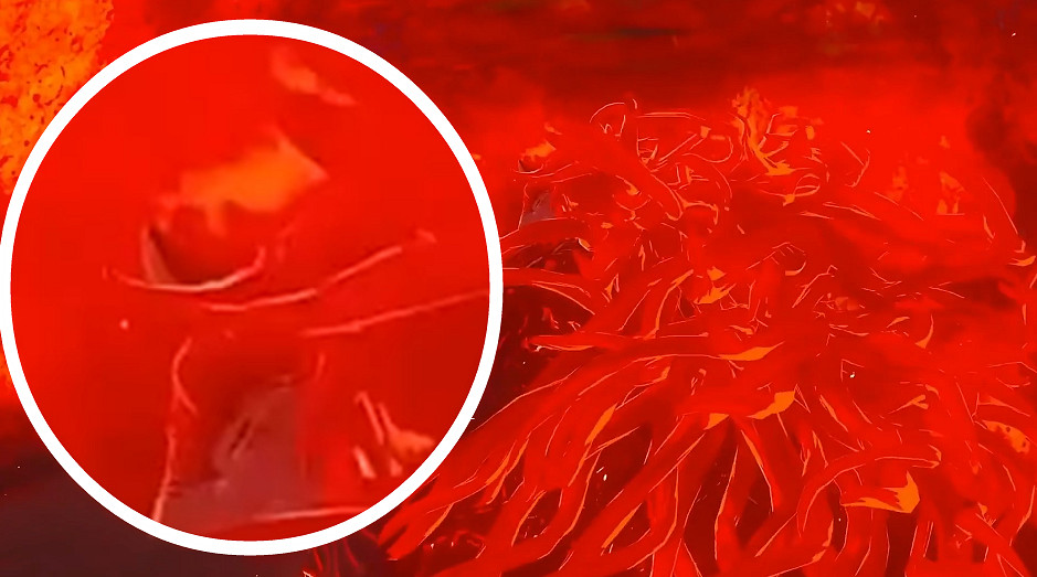 NS新聞 塞爾達傳說加儂正臉照 世嘉收購憤怒的小鳥