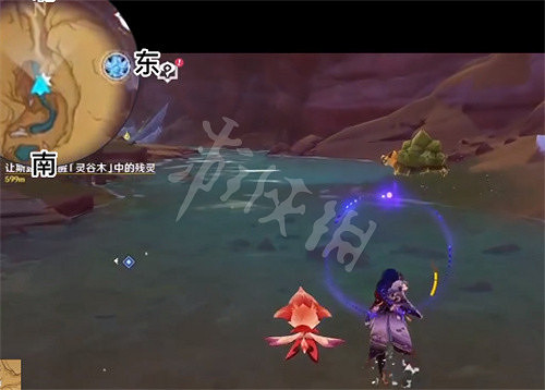 《原神》玳龜在哪? 玳龜分布位置 《原神》玳龜在哪? 玳龜分布位置