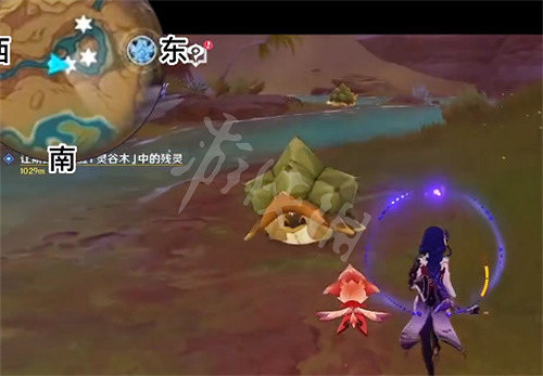 《原神》玳龜在哪? 玳龜分布位置 《原神》玳龜在哪? 玳龜分布位置