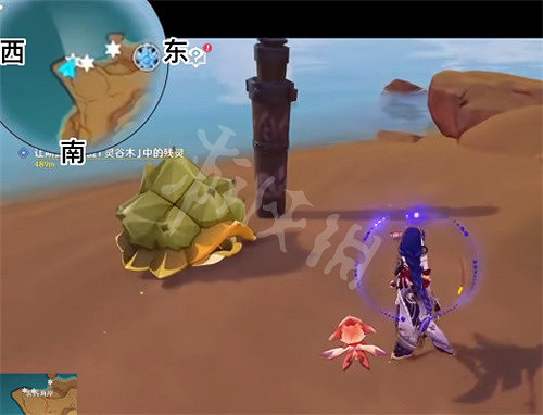 《原神》玳龜在哪? 玳龜分布位置 《原神》玳龜在哪? 玳龜分布位置