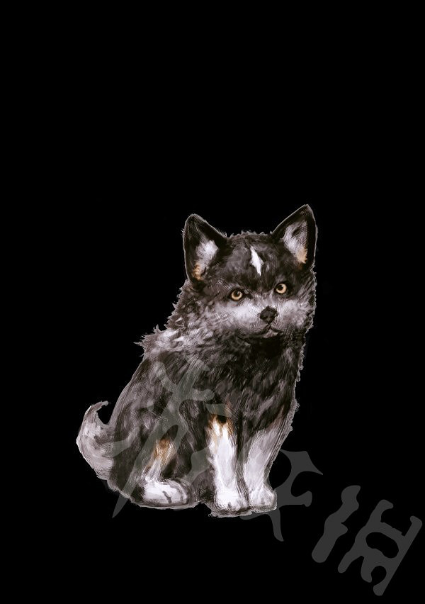 《最終幻想16》全角色圖鑒 登場人物匯總 《最終幻想16》全角色圖鑒 登場人物匯總