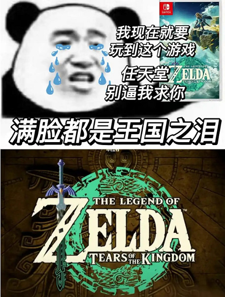 蓋儂不愧是大反派，連發售前裝逼的機會都不給林克留