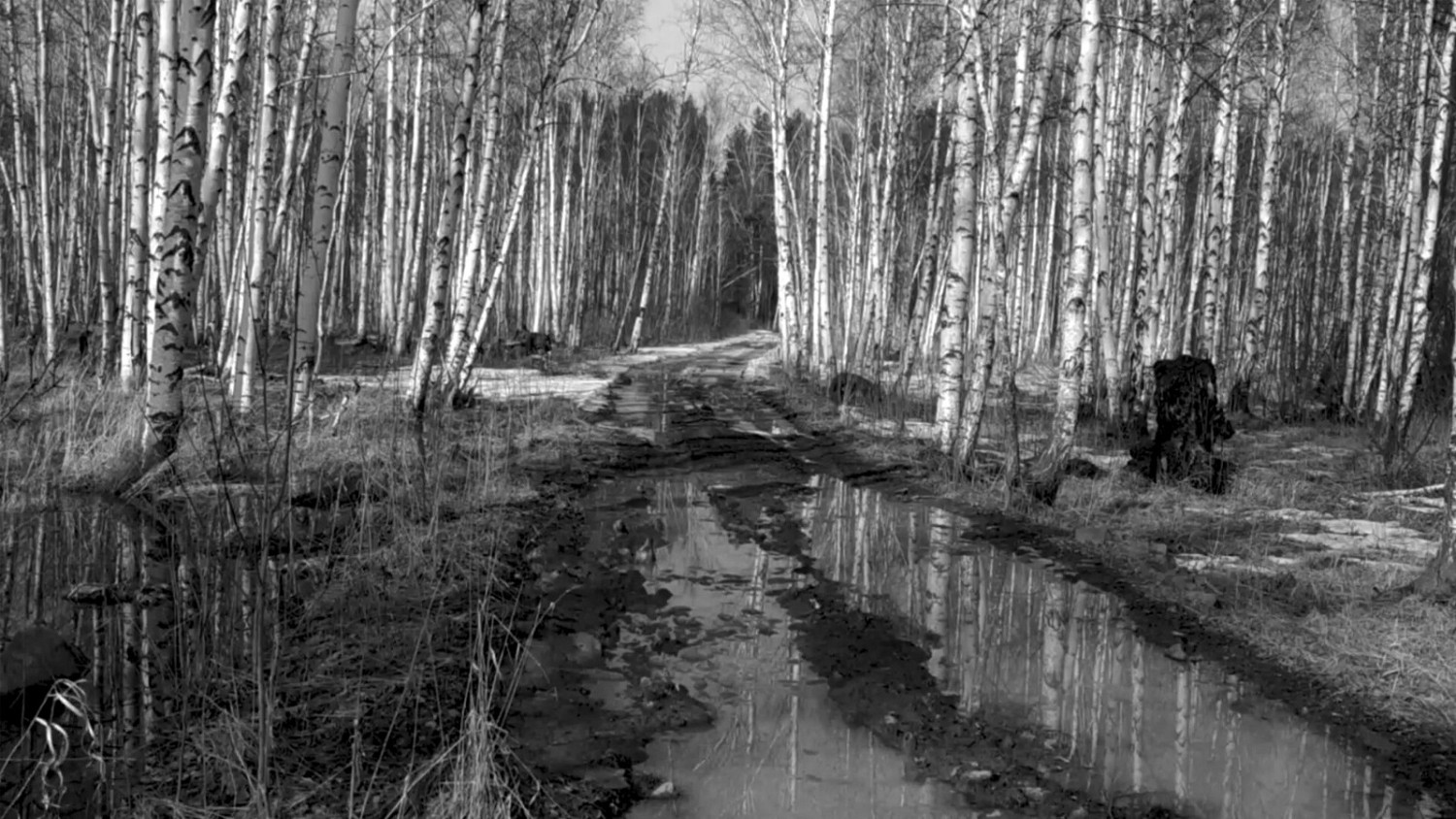 互動式電影《俄羅斯精神田園》Steam頁面上線 支援中文 互動式電影《俄羅斯精神田園》Steam頁面上線 支援中文