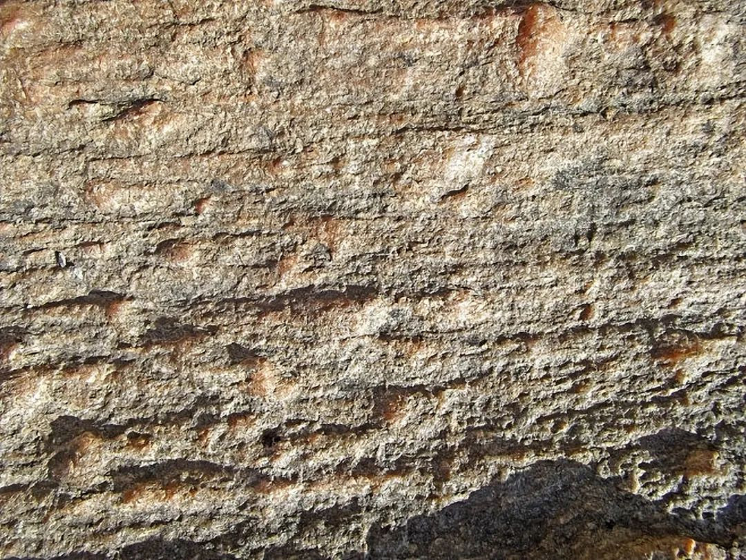 “大腿勒肉”為何能吸引無數玩家？肉腿背後的秘密