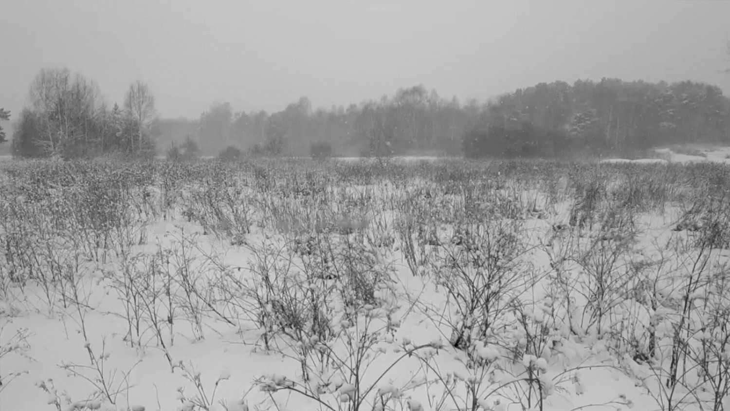 互動式電影《俄羅斯精神田園》Steam頁面上線 支援中文 互動式電影《俄羅斯精神田園》Steam頁面上線 支援中文