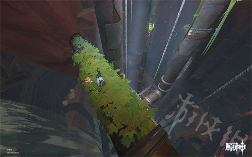 《原神》荼泥黑淵草神瞳位置匯總 荼泥黑淵草神瞳位置分布圖