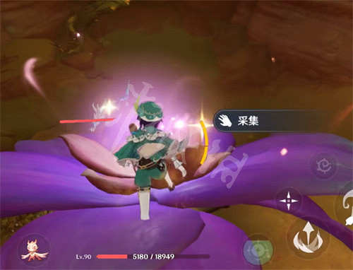 《原神》憂曇花為什麽會消失？ 憂曇花採集方法