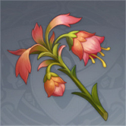 《原神》悼靈花在哪裡買？ 悼靈花NPC位置