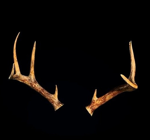 《惡靈古堡4重製版》s+獎勵介紹