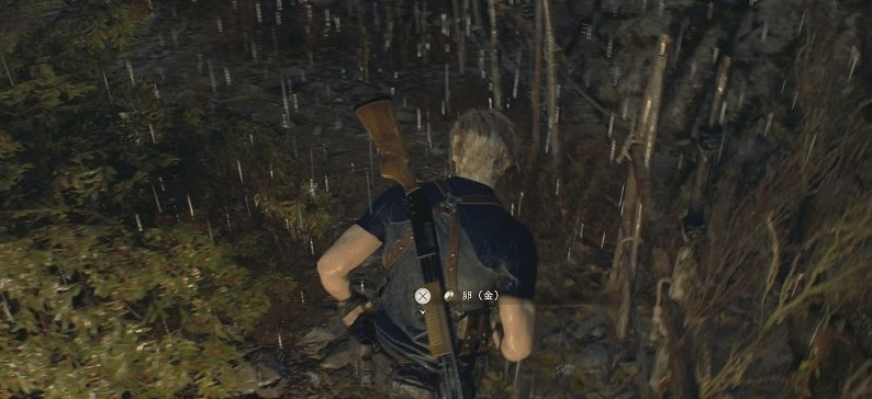 《惡靈古堡4重製版》金雞蛋獲取方法