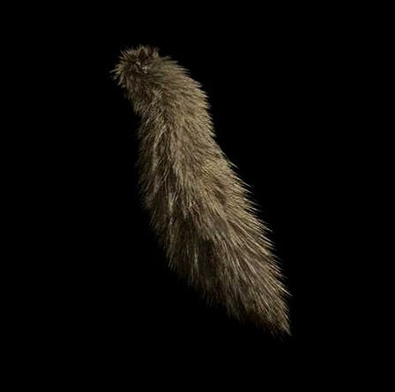 《惡靈古堡4重製版》s+獎勵介紹