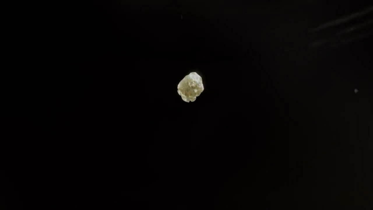 《真人快打》工作室公布30周年感謝影片 並暗示新作! 《真人快打》工作室公布30周年感謝影片 並暗示新作!