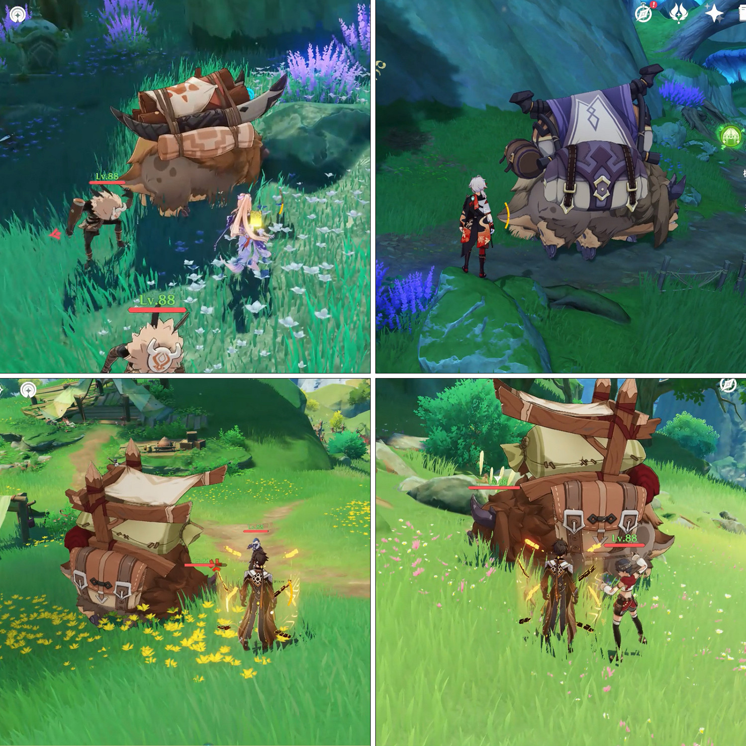 《原神》載貨駝獸路線匯總 載貨駝獸位置在哪? 《原神》載貨駝獸路線匯總 載貨駝獸位置在哪?