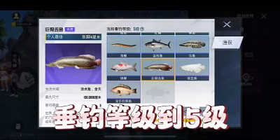 《和平精英》巨骨舌魚在哪裡釣 巨骨舌魚條件一覽 《和平精英》巨骨舌魚在哪裡釣 巨骨舌魚條件一覽