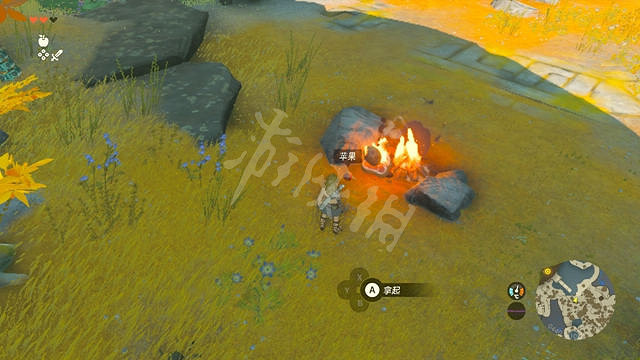 《塞爾達傳說王國之淚》蘋果獲取攻略 蘋果在哪獲得? 《塞爾達傳說王國之淚》蘋果獲取攻略 蘋果在哪獲得?