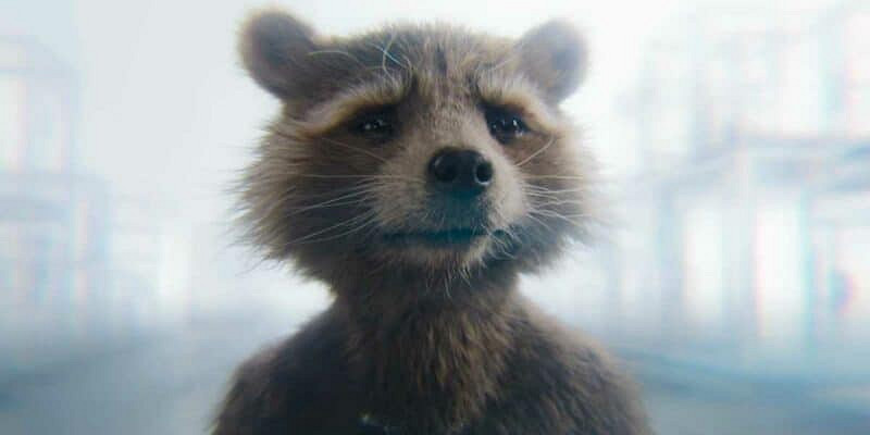 動保PETA:《星際異攻隊3》是年度最佳動物權利電影 動保PETA:《星際異攻隊3》是年度最佳動物權利電影