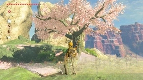 《塞爾達傳說王國之淚》前期獲取龍岩石方法 怎麽獲取白龍身上的素材? 《塞爾達傳說王國之淚》前期獲取龍岩石方法 怎麽獲取白龍身上的素材?