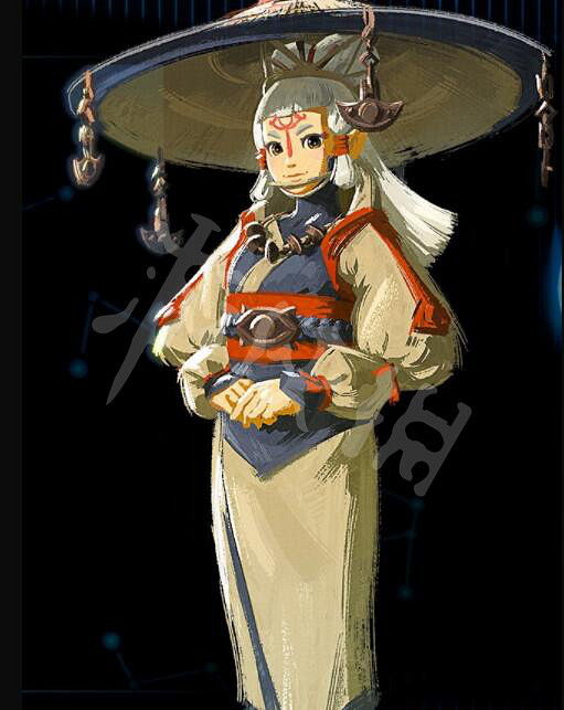 《塞爾達傳說王國之淚》角色立繪大全 人物介紹 《塞爾達傳說王國之淚》角色立繪大全 人物介紹