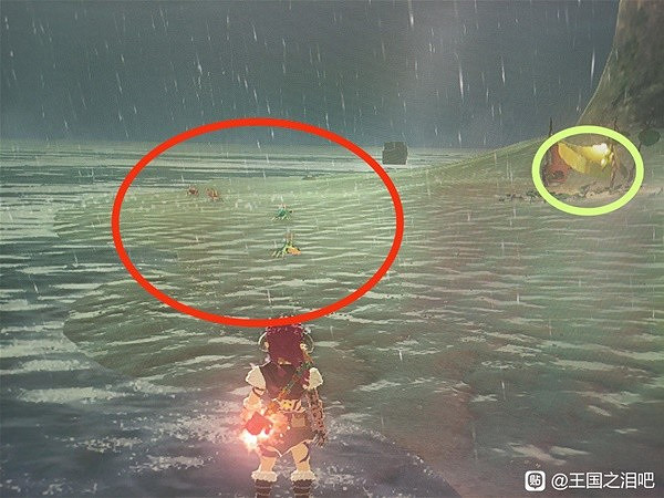 《塞爾達傳說王國之淚》螃蟹與獨角仙收集位置一覽 螃蟹與獨角仙位置在哪? 《塞爾達傳說王國之淚》螃蟹與獨角仙收集位置一覽 螃蟹與獨角仙位置在哪?