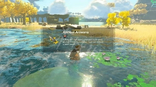 《塞爾達傳說王國之淚》遠昔骨舌魚鱗片位置一覽 怎麽修復卓拉鎧甲? 《塞爾達傳說王國之淚》遠昔骨舌魚鱗片位置一覽 怎麽修復卓拉鎧甲?