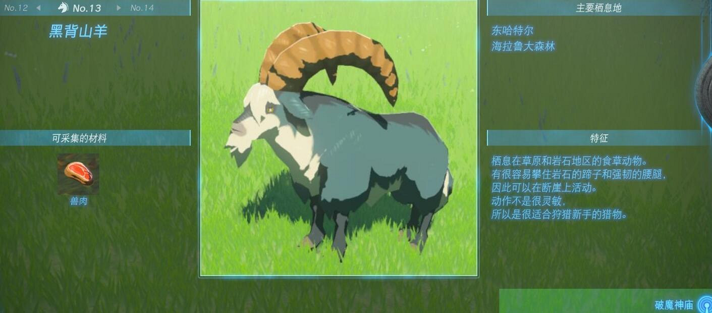 《塞爾達傳說王國之淚》動物掉落物圖鑒匯總動物有哪些? 《塞爾達傳說王國之淚》動物掉落物圖鑒匯總動物有哪些?