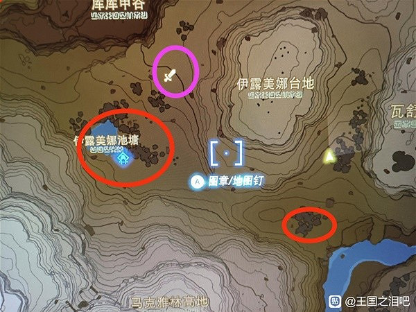 《塞爾達傳說王國之淚》螃蟹與獨角仙收集分享 螃蟹與獨角仙位置在哪? 《塞爾達傳說王國之淚》螃蟹與獨角仙收集分享 螃蟹與獨角仙位置在哪?