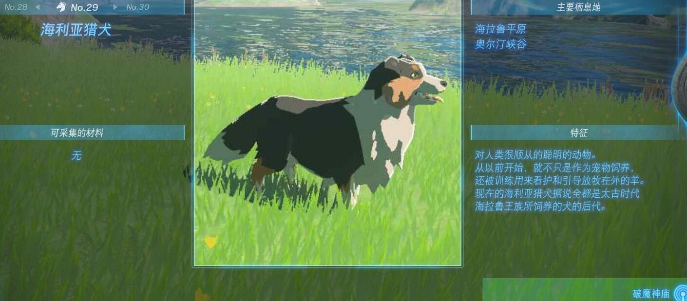 《塞爾達傳說王國之淚》動物掉落物圖鑒匯總動物有哪些? 《塞爾達傳說王國之淚》動物掉落物圖鑒匯總動物有哪些?