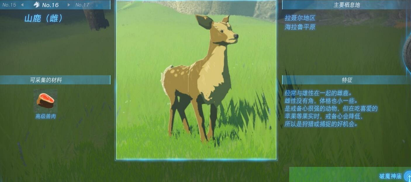 《塞爾達傳說王國之淚》動物掉落物圖鑒匯總動物有哪些? 《塞爾達傳說王國之淚》動物掉落物圖鑒匯總動物有哪些?