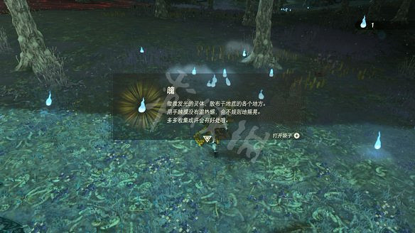 《塞爾達傳說:王國之淚》圖文攻略 全流程全Boss全神廟全支線全收集 《塞爾達傳說:王國之淚》圖文攻略 全流程全Boss全神廟全支線全收集