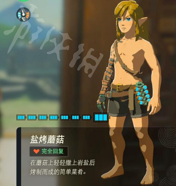《塞爾達傳說王國之淚》好用的料理有哪些?實用料理推薦 《塞爾達傳說王國之淚》好用的料理有哪些?實用料理推薦