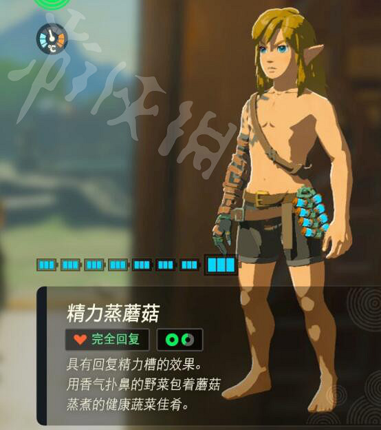 《塞爾達傳說王國之淚》好用的料理有哪些?實用料理推薦 《塞爾達傳說王國之淚》好用的料理有哪些?實用料理推薦