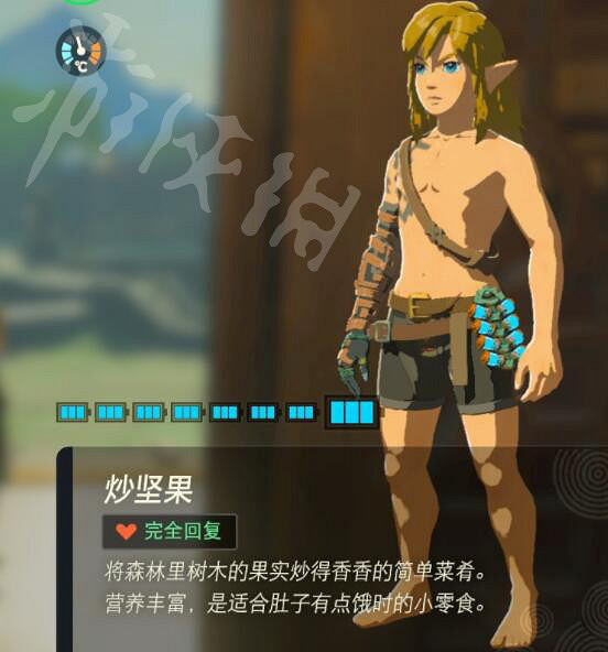 《塞爾達傳說王國之淚》好用的料理有哪些?實用料理推薦 《塞爾達傳說王國之淚》好用的料理有哪些?實用料理推薦
