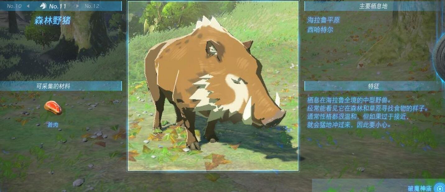 《塞爾達傳說王國之淚》動物棲息地大全 全動物圖鑒一覽 《塞爾達傳說王國之淚》動物棲息地大全 全動物圖鑒一覽