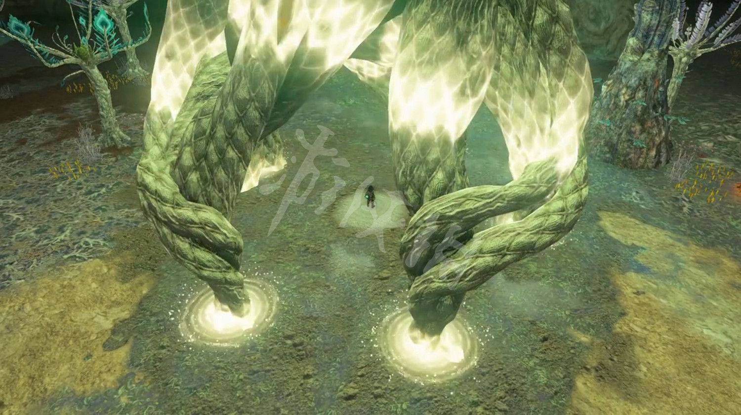 《塞爾達傳說王國之淚》相機怎麽解鎖? 相機和圖鑒解鎖教學 《塞爾達傳說王國之淚》相機怎麽解鎖? 相機和圖鑒解鎖教學