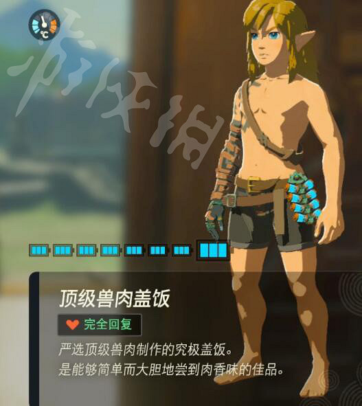 《塞爾達傳說王國之淚》好用的料理有哪些?實用料理推薦 《塞爾達傳說王國之淚》好用的料理有哪些?實用料理推薦