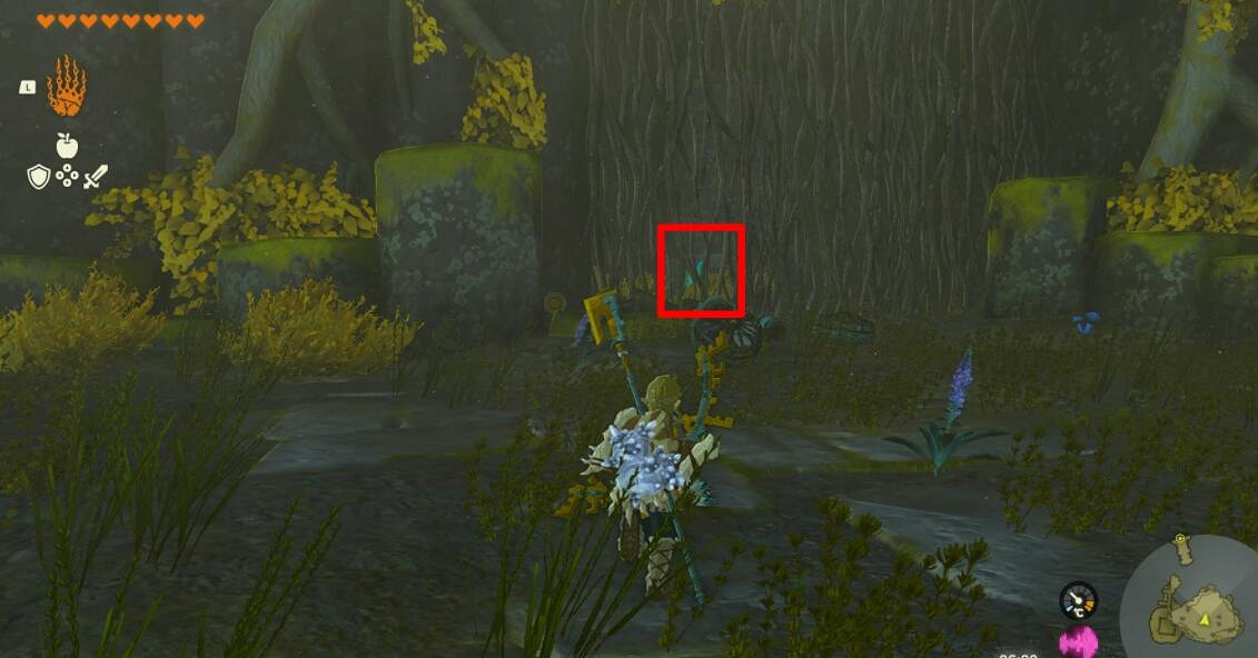 《塞爾達傳說王國之淚》天空神廟怎麽進?天空神廟位置及寶箱攻略大全 《塞爾達傳說王國之淚》天空神廟怎麽進?天空神廟位置及寶箱攻略大全