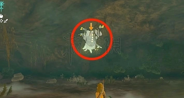 《塞爾達傳說王國之淚》魔猶伊的遺失物獲取教學 遺失物怎麽獲取? 《塞爾達傳說王國之淚》魔猶伊的遺失物獲取教學 遺失物怎麽獲取?