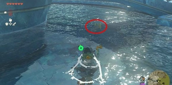 《塞爾達傳說王國之淚》遠昔骨舌魚鱗片怎麽獲得?遠昔骨舌魚鱗片位置大全 《塞爾達傳說王國之淚》遠昔骨舌魚鱗片怎麽獲得?遠昔骨舌魚鱗片位置大全