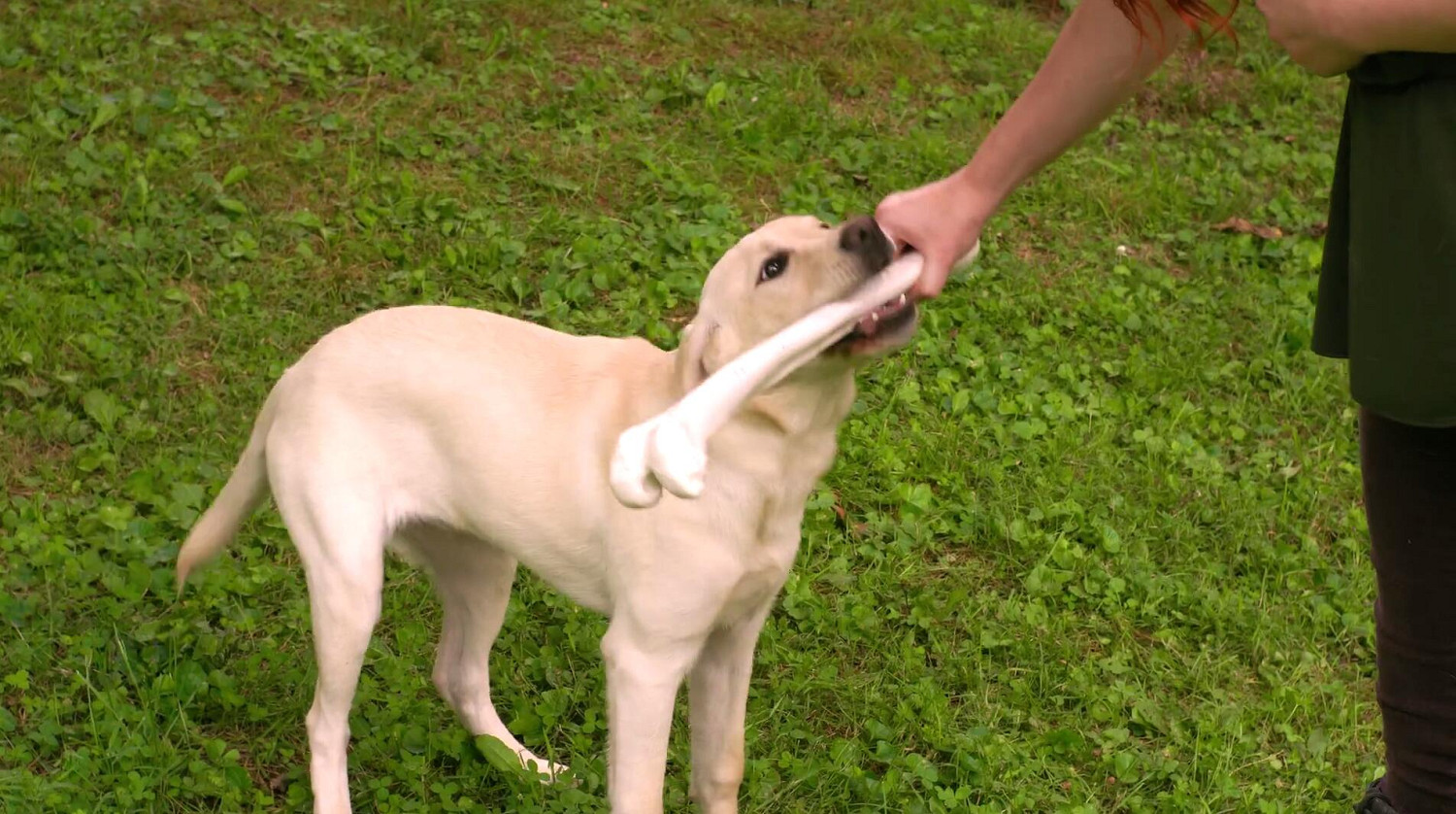 有遊戲內味了！粉絲自製《當個創世神麥塊》真人版微電影！